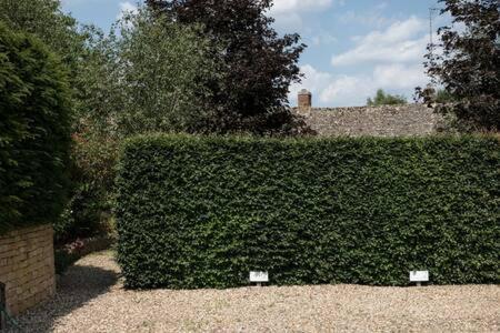 Two Rose Walk Cottage Cotswolds Moreton-in-Marsh Eksteriør billede