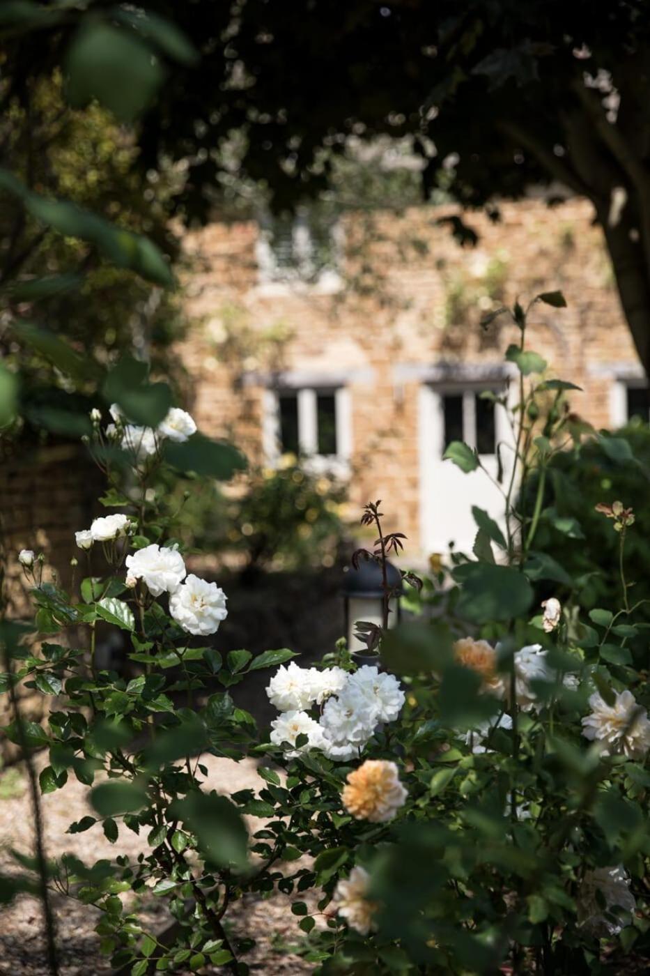 Two Rose Walk Cottage Cotswolds Moreton-in-Marsh Eksteriør billede